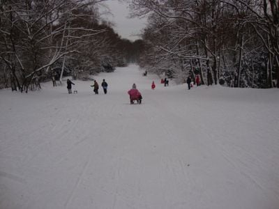 Vinter 1