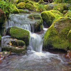 Sayano-Shushenski Nature Reserve