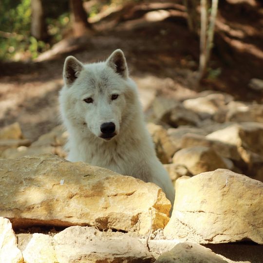 Parc Argonne Découverte