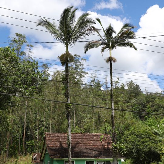 Propriedade de Bruno Sell - Irineu Goede