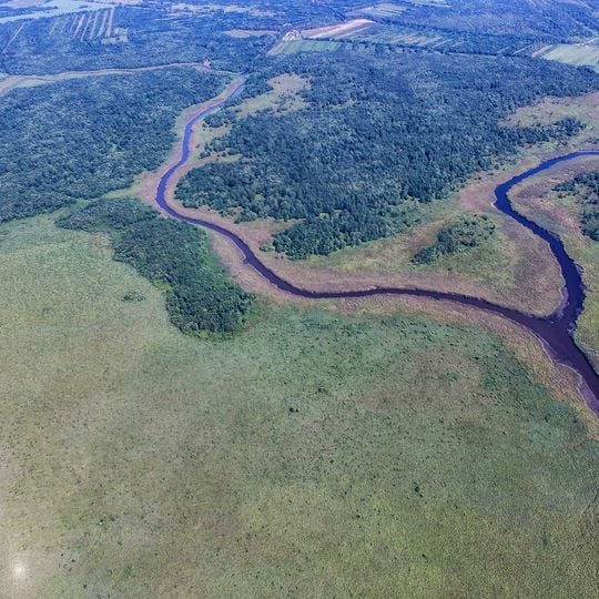 Colchic Rainforests and Wetlands