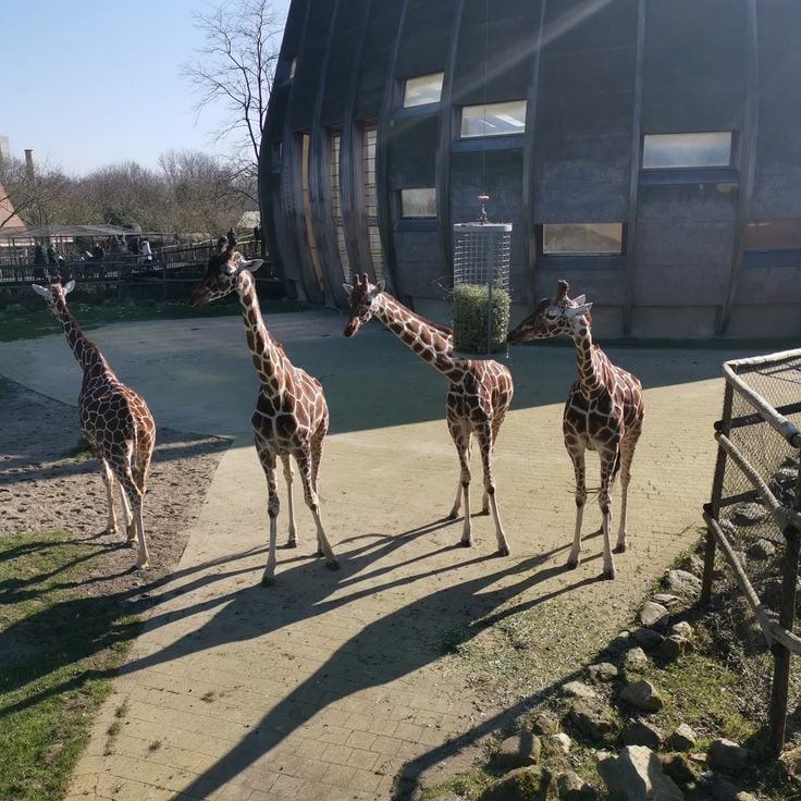 Rotterdams zoo
