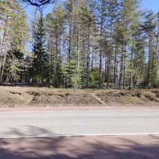 Братские могилы советских воинов (Питкярантское г.п.)