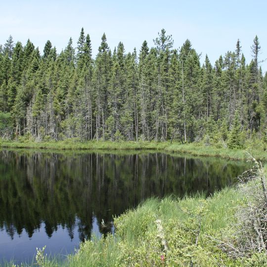 Blackjack Springs Wilderness