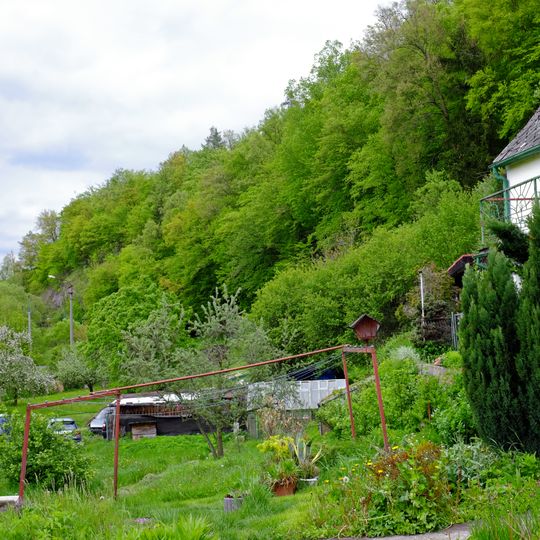 Dubohabřina ve Vojkovicích