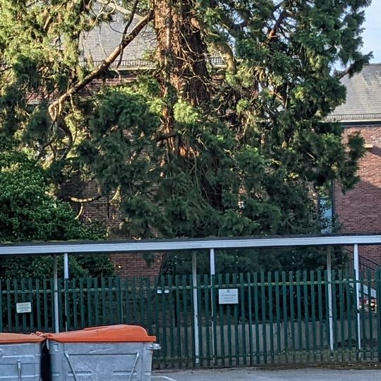 Library At The Cedars School