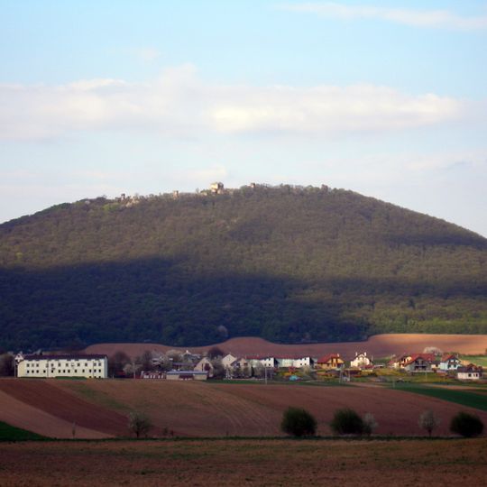 Forest in the castle