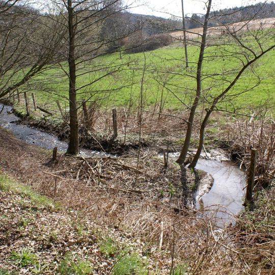 LSG-Vormholz Waldungen-Muttental Waldungen-Muttenb