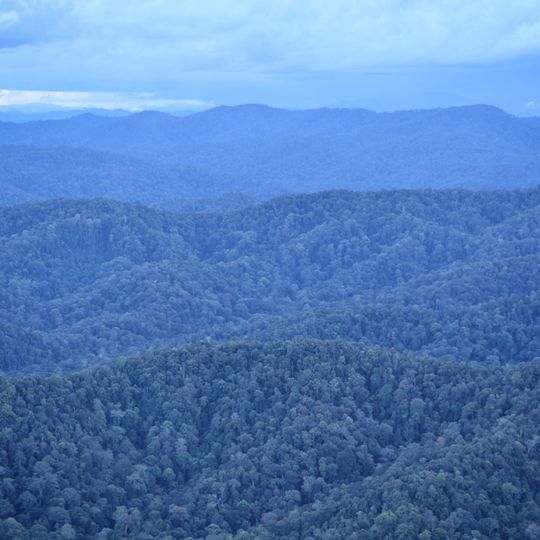 Parco nazionale di Betung Kerihun