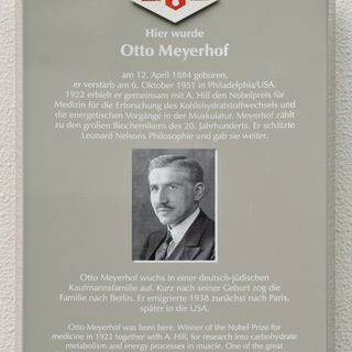 Stadttafel Otto Meyerhof