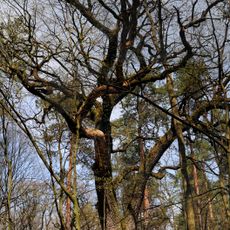 Moshny Landscape Preserve