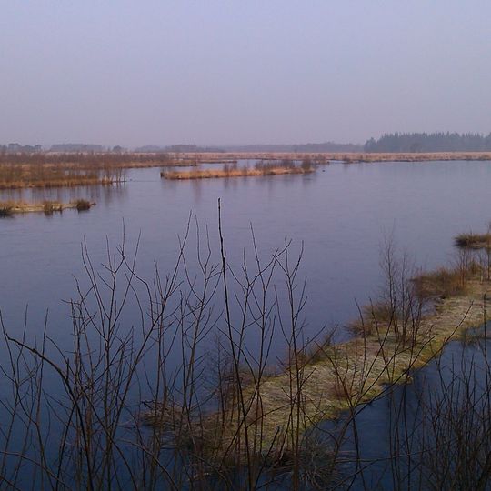 Fockbeker Moor