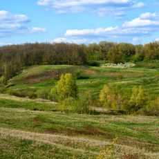 Desert roses of Chubovka