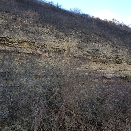 Naturdenkmal Felsen Hoher Rain/Steig