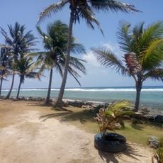 Punta South End