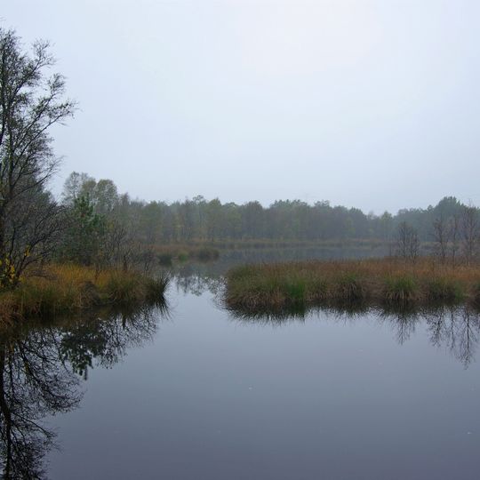 Bockhorner Moor