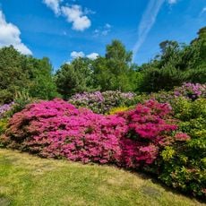 Rhododendronpark