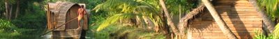 Panoramic View 0