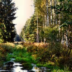 Lower Silesian Wilderness