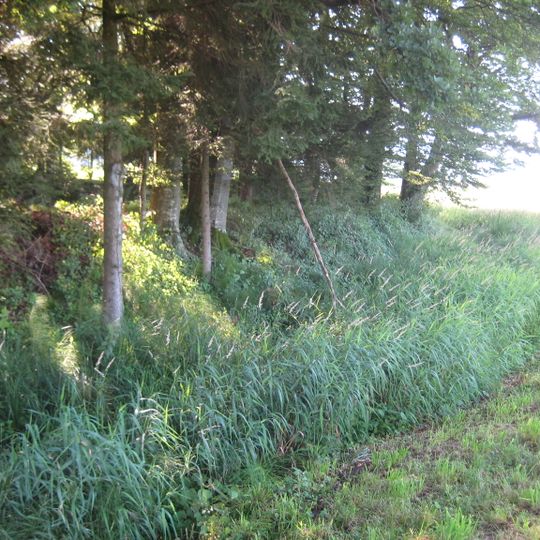 Ringwallanlage "Burg"