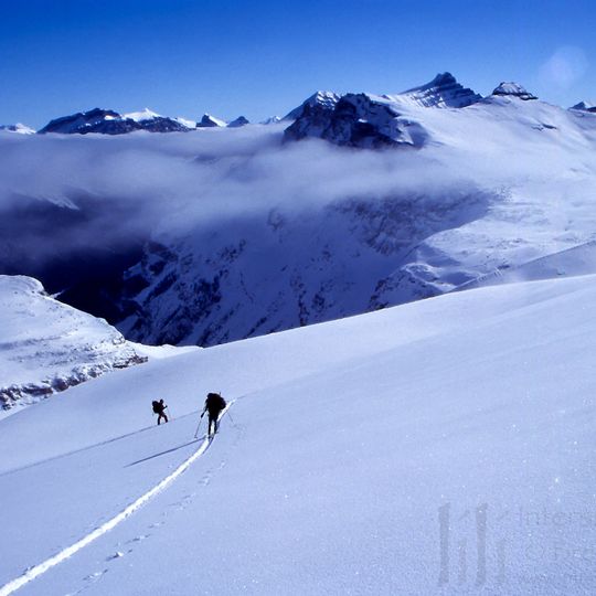 Champ de glace Waputik