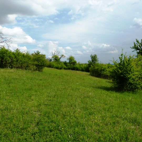 Stráně nad Suchým potokem