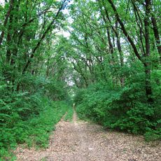 Hrushuvatskyi Reserve