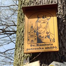 Obrázek svaté Kunhuty v lese severovýchodně vrchu Velíz