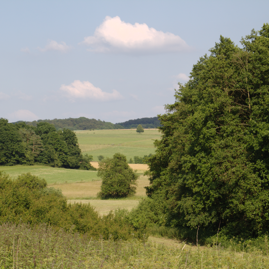 Naturschutzgebiet Talaue von Sausel und Rauchel