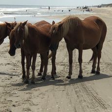 Currituck Beach