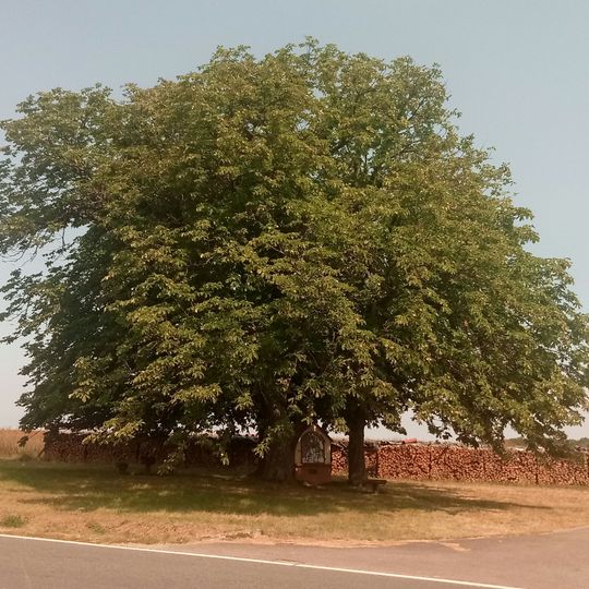 Drei Kastanien bei Kapellchen