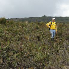 Cordillera del Cóndor