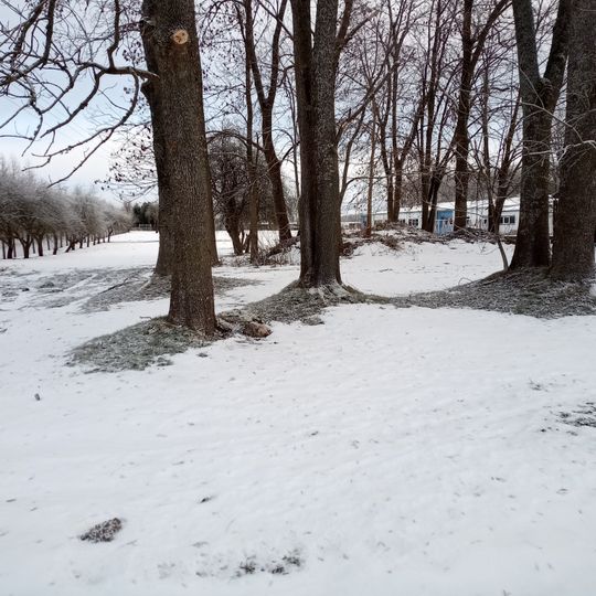 Põltsamaa vana Niguliste kirik