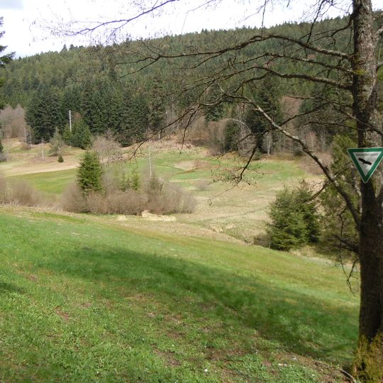 Glaswiesen und Glaswald