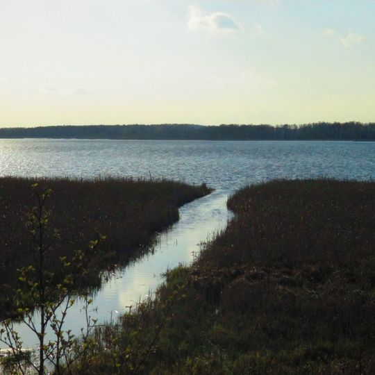 Rezerwat przyrody Jezioro Kolno