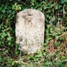 Milestone Opposite Long Thatch