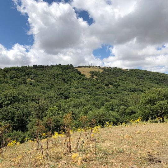 Riserva naturale orientata Monte Genuardo e Santa Maria del Bosco