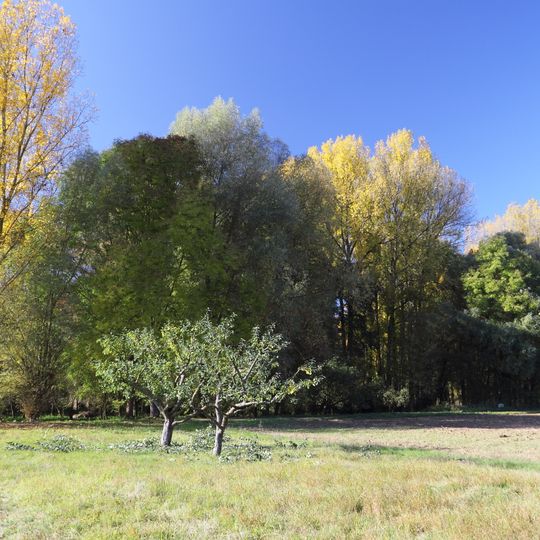 Feuchtgebiet Auwäldchen im Gewann Fluss