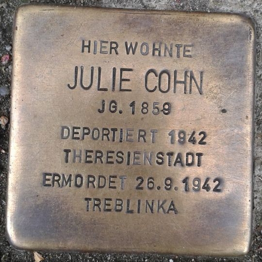 Stolperstein en memoria de Julie Cohn
