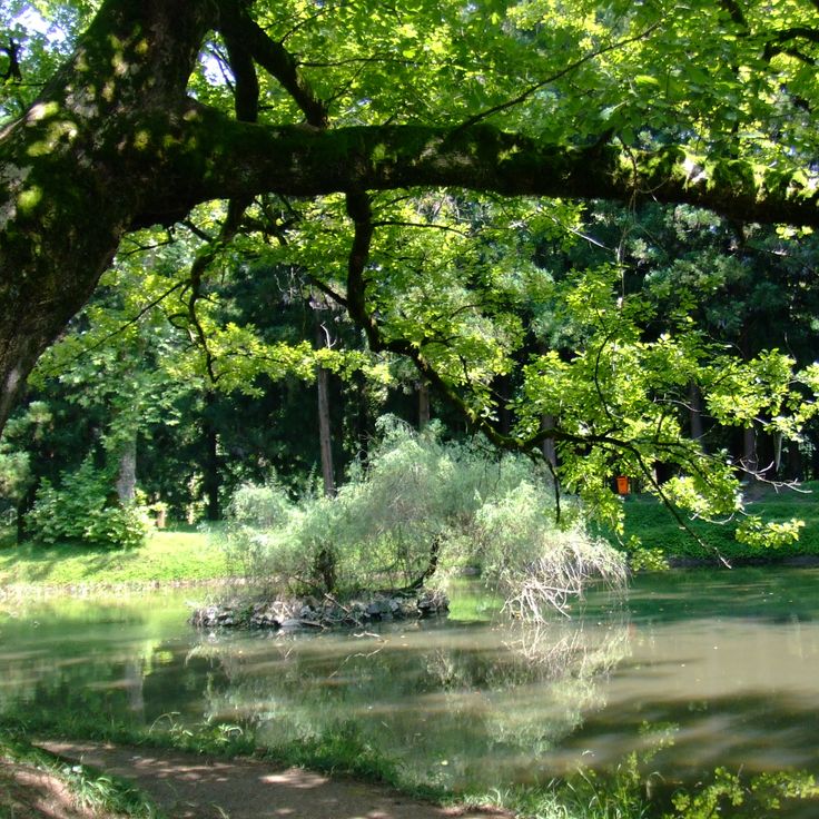 Jardin botanique de Zougdidi