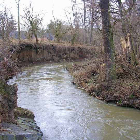 Botič