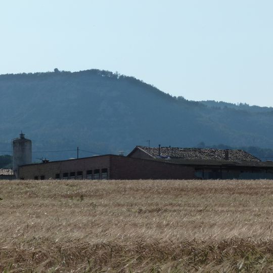 Els Plans de l'Alzina