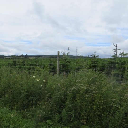 East Mains of Balfour,farmstead 550m NNE of