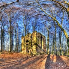 Burgruine Rusteberg