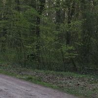 Landkreis Anhalt-Bitterfeld