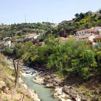 Pinos Puente