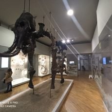 Museum of Natural History