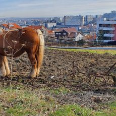 Ferme Urbaine Clermont-Ferrand Vallières
