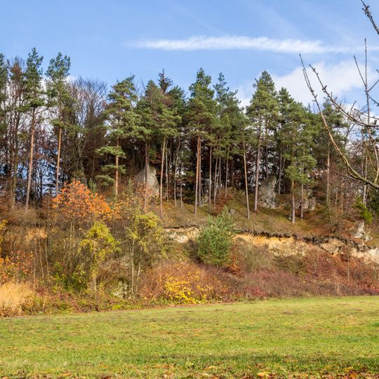 Kürzenberg E von Affalterthal