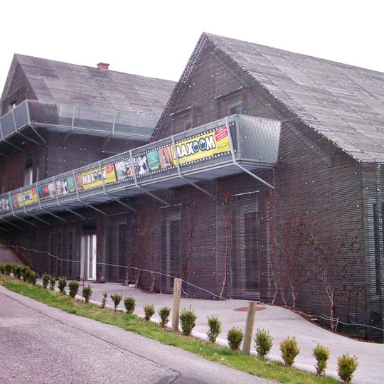 Schwarzer Laubfrosch